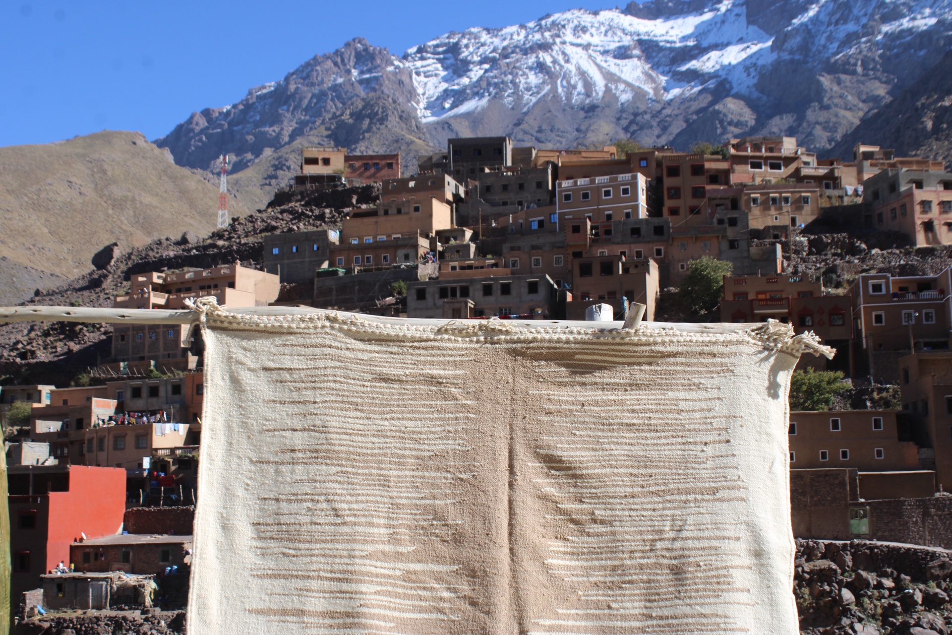 Handwoven Moroccan Berber Rug – 300×200 cm (9.8×6.5 ft) – Neutral Beige & Cream Wool Carpet - Image 4