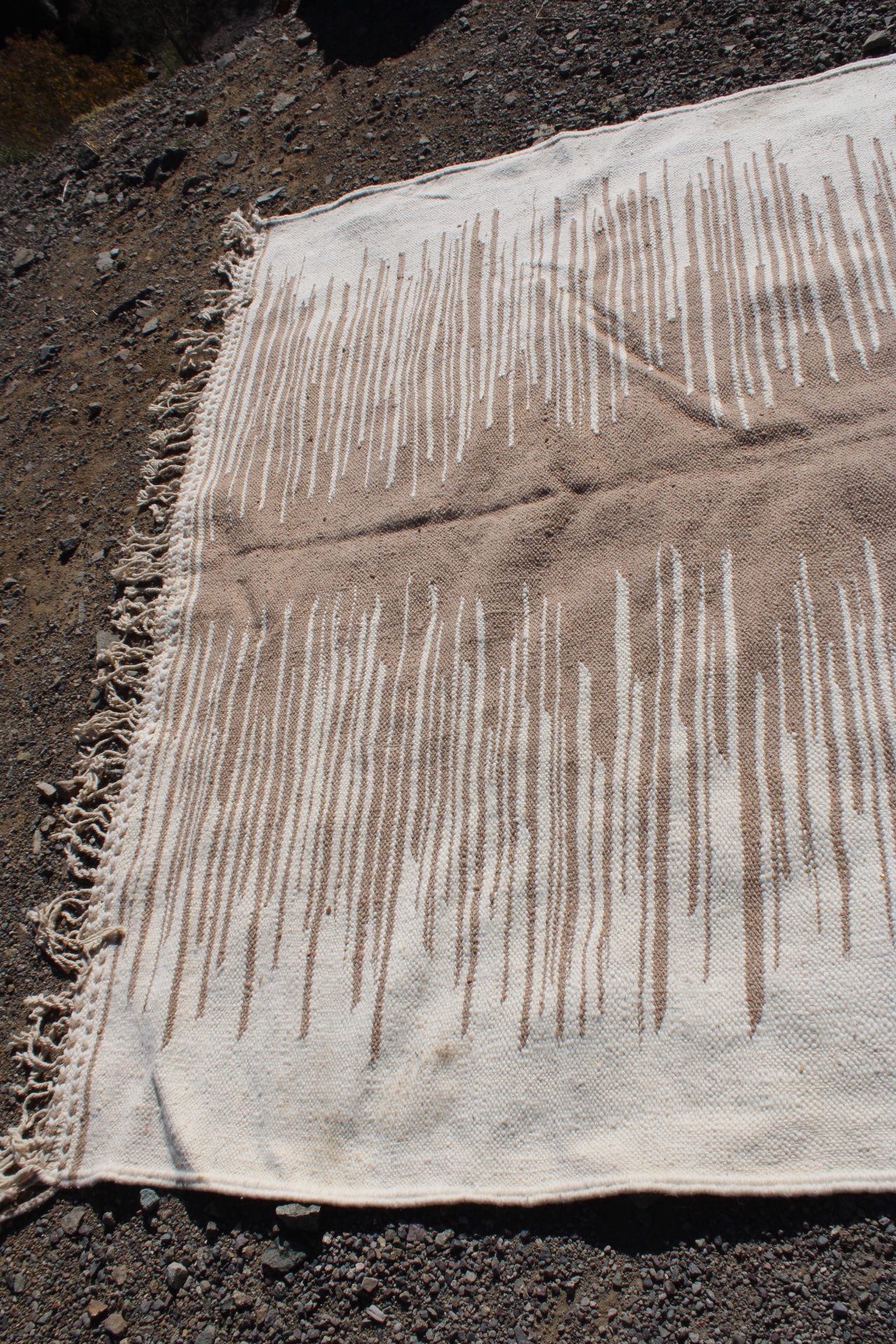 Handwoven Moroccan Berber Rug – 300×200 cm (9.8×6.5 ft) – Neutral Beige & Cream Wool Carpet - Image 8